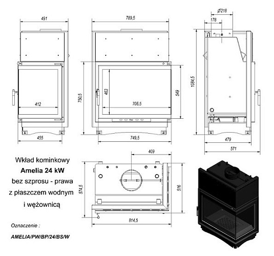 Топка с водяным контуром AMELIA/PW/BP/24/BS/W, Г-образное стекло справа, змеевик_1